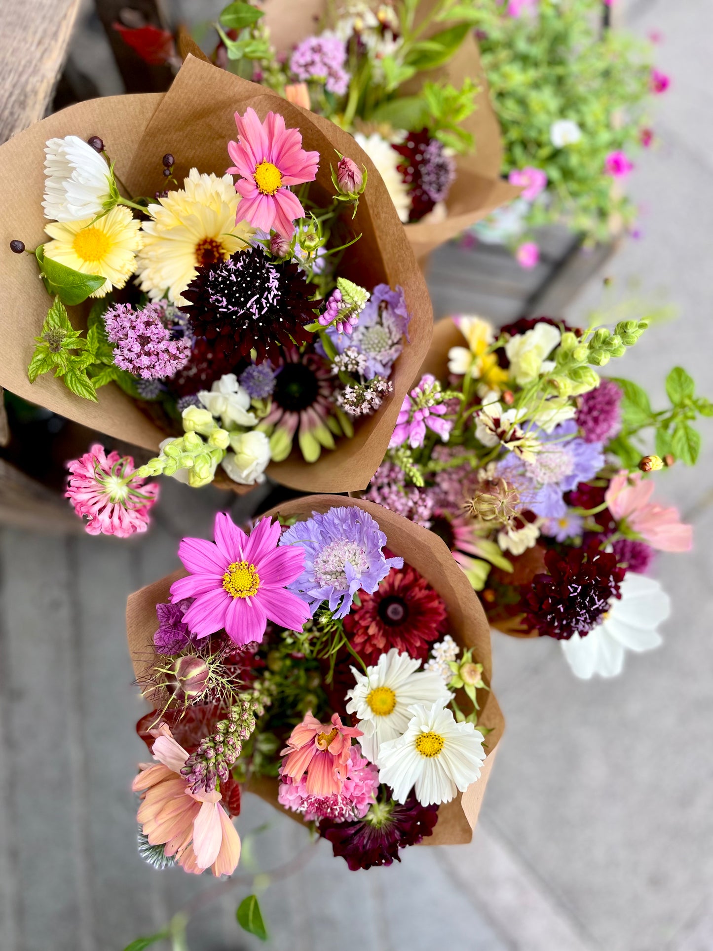 Celebrate Samhain: An Evening of Flowers and Tarot with Broughton Street Flowers x Madame Culpeper - Saturday 1st November at 6pm