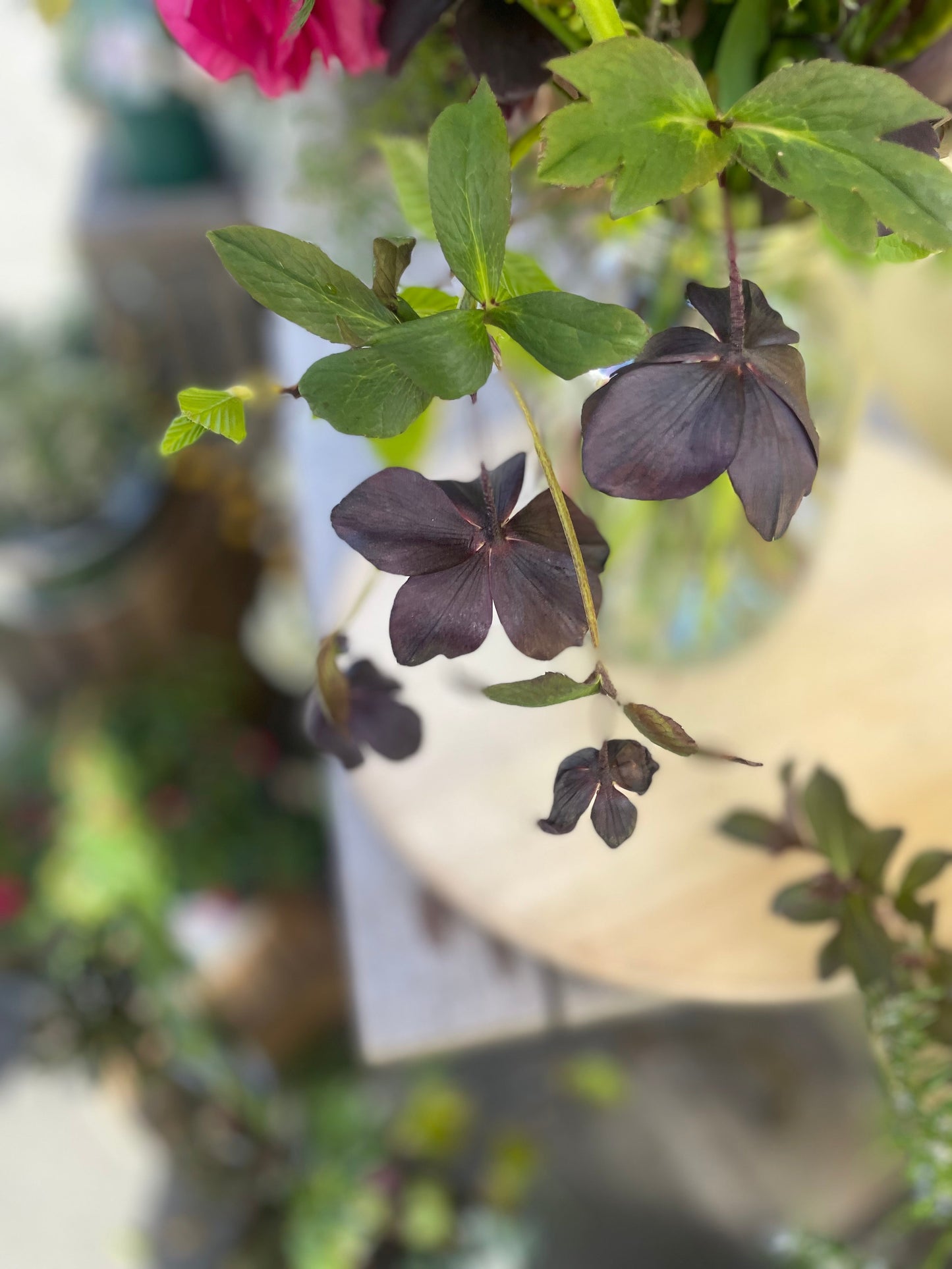 A Celebration of British Flowers Week: Summer hand-tie and vase arrangement workshops - 17th or 19th June 2025