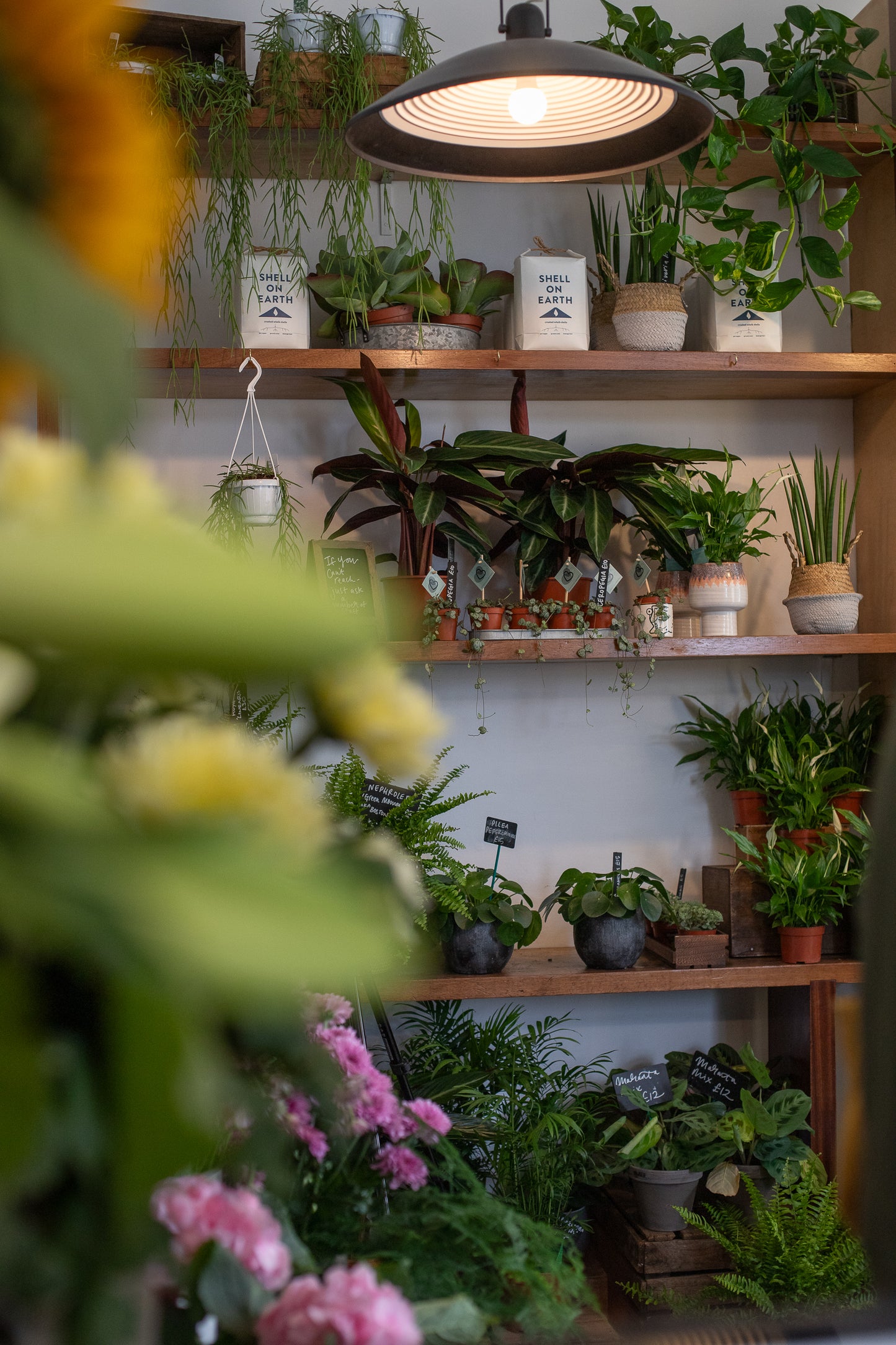 A Celebration of British Flowers Week: Summer hand-tie and vase arrangement workshops - 17th or 19th June 2025