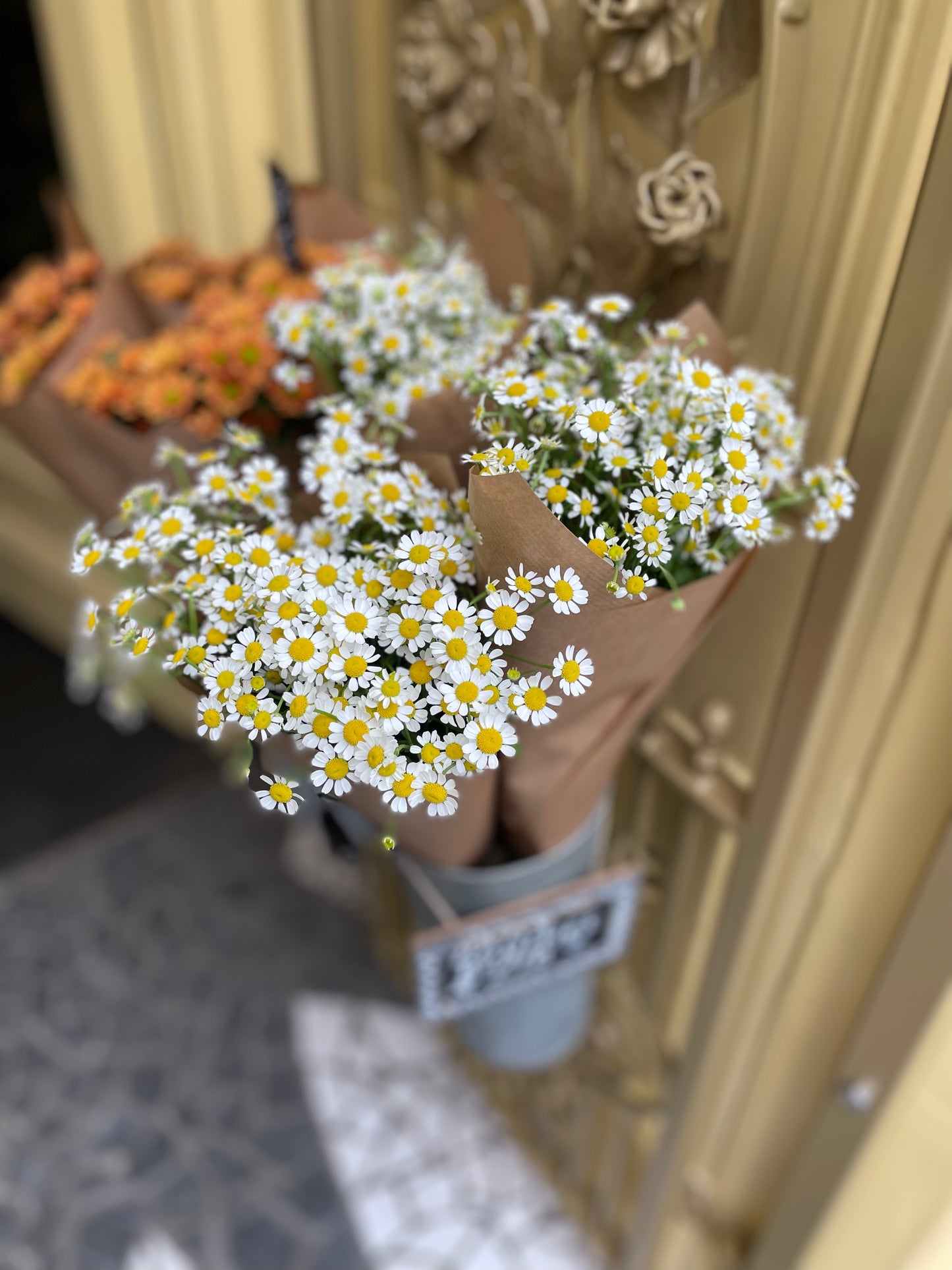 Daisy wrap