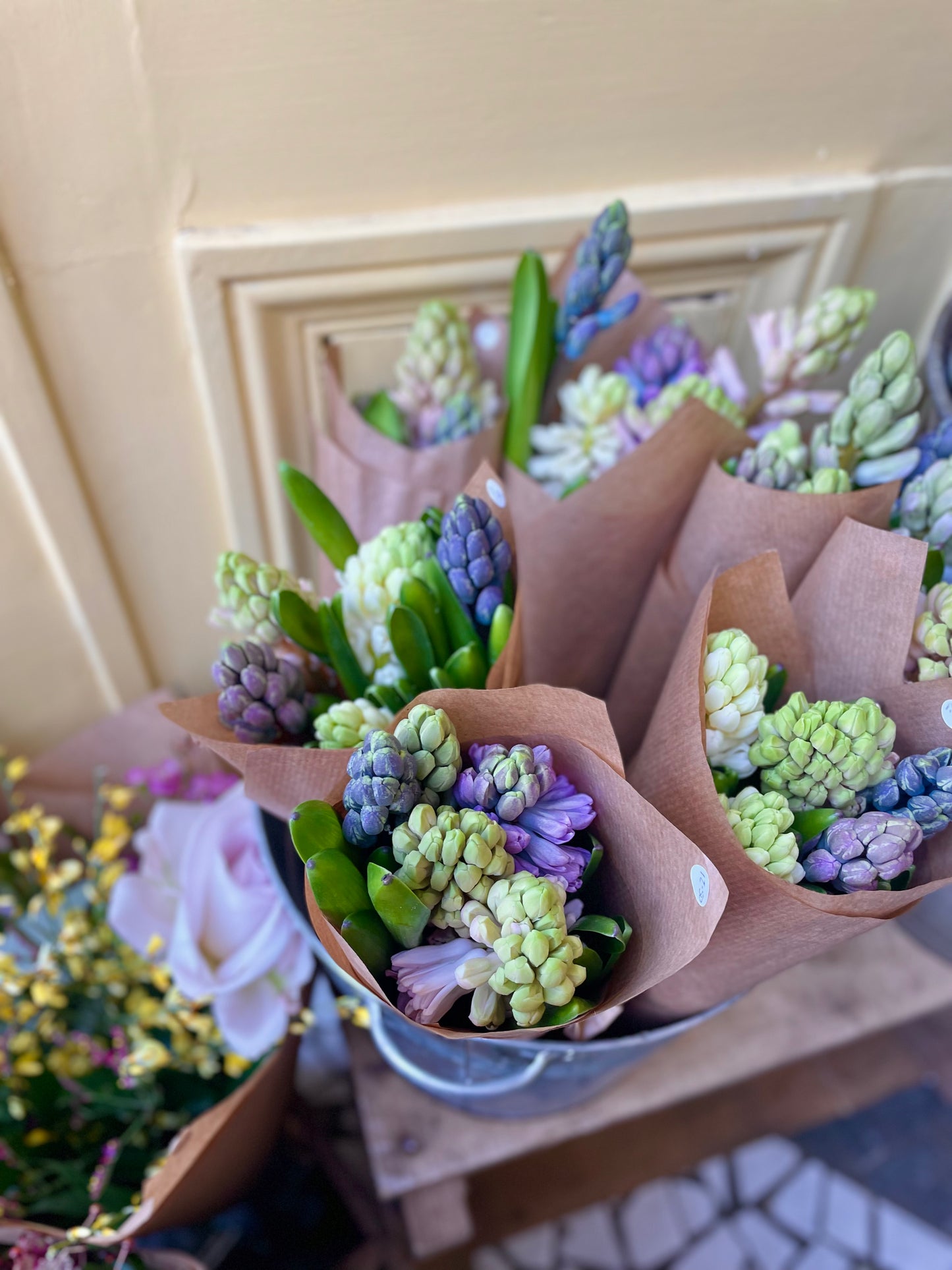 Easter Hyacinth wrap