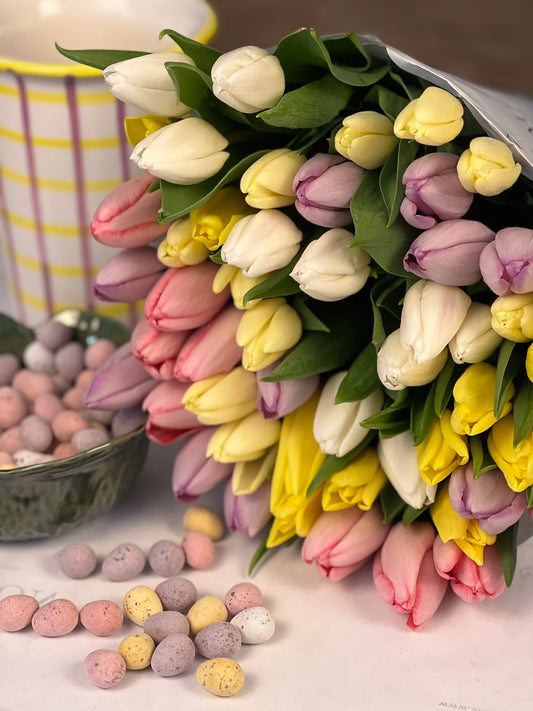 Smith & Munson Easter tulips in Mini-Egg colours  - available from Thursday 17th April