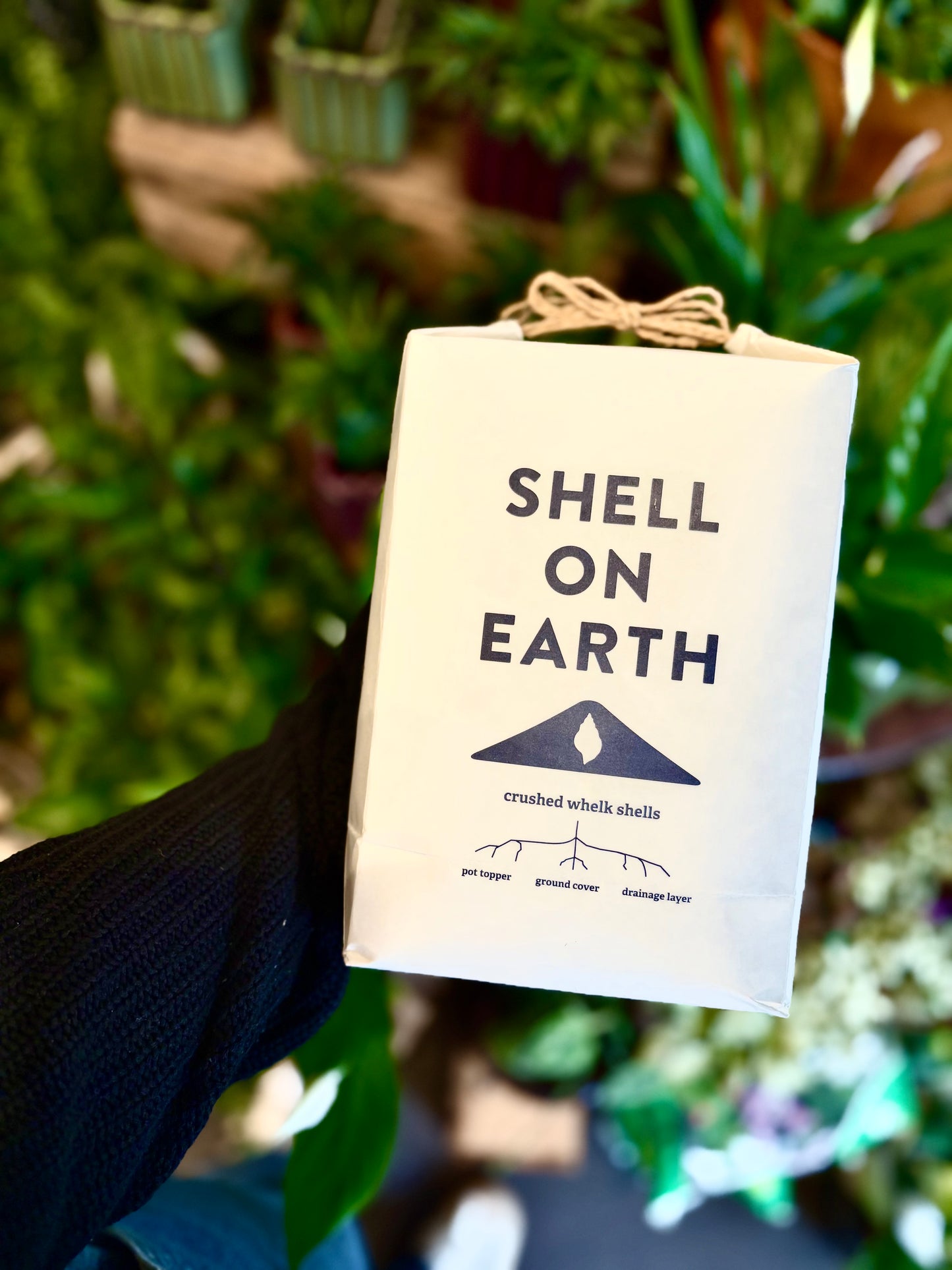 Shell on Earth