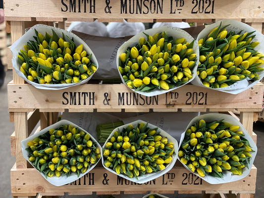 Smith & Munson Easter tulips in yellow mix  - available from Thursday 17th April