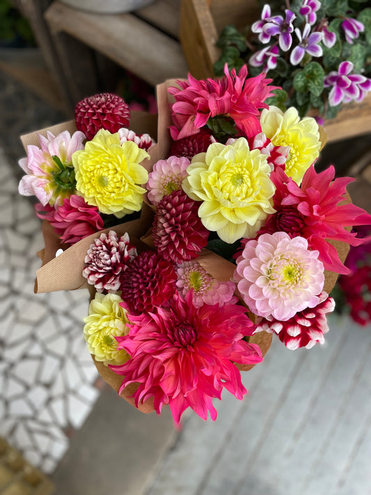Autumn dahlia bunch