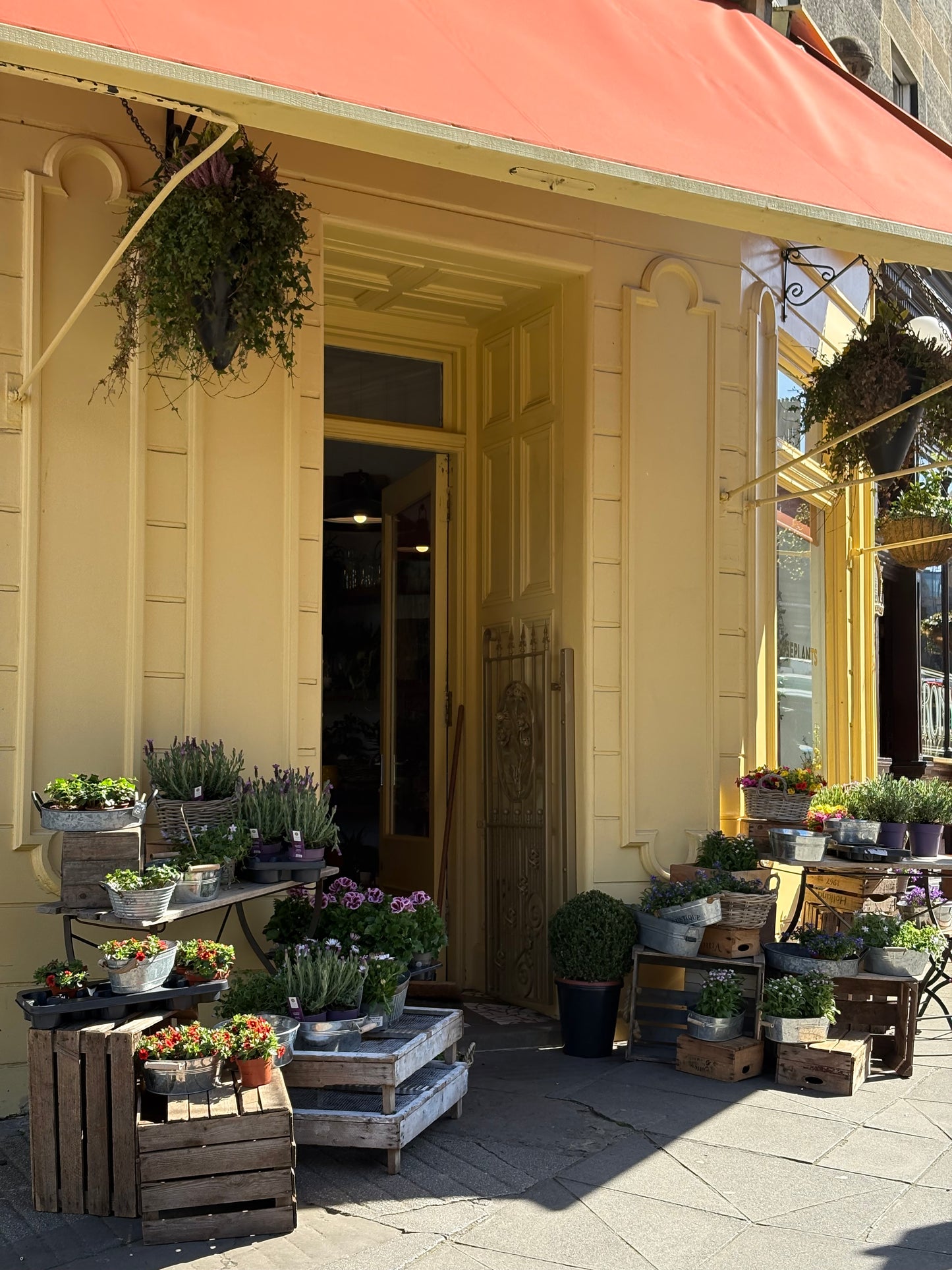 *SOLD OUT* Celebrating the Summer Solstice: Astrology and the Language of Flowers with Broughton Street Flowers x Mindful Swan - Thursday 26th June
