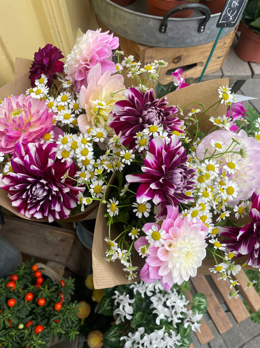 Dahlia and daisy bunch