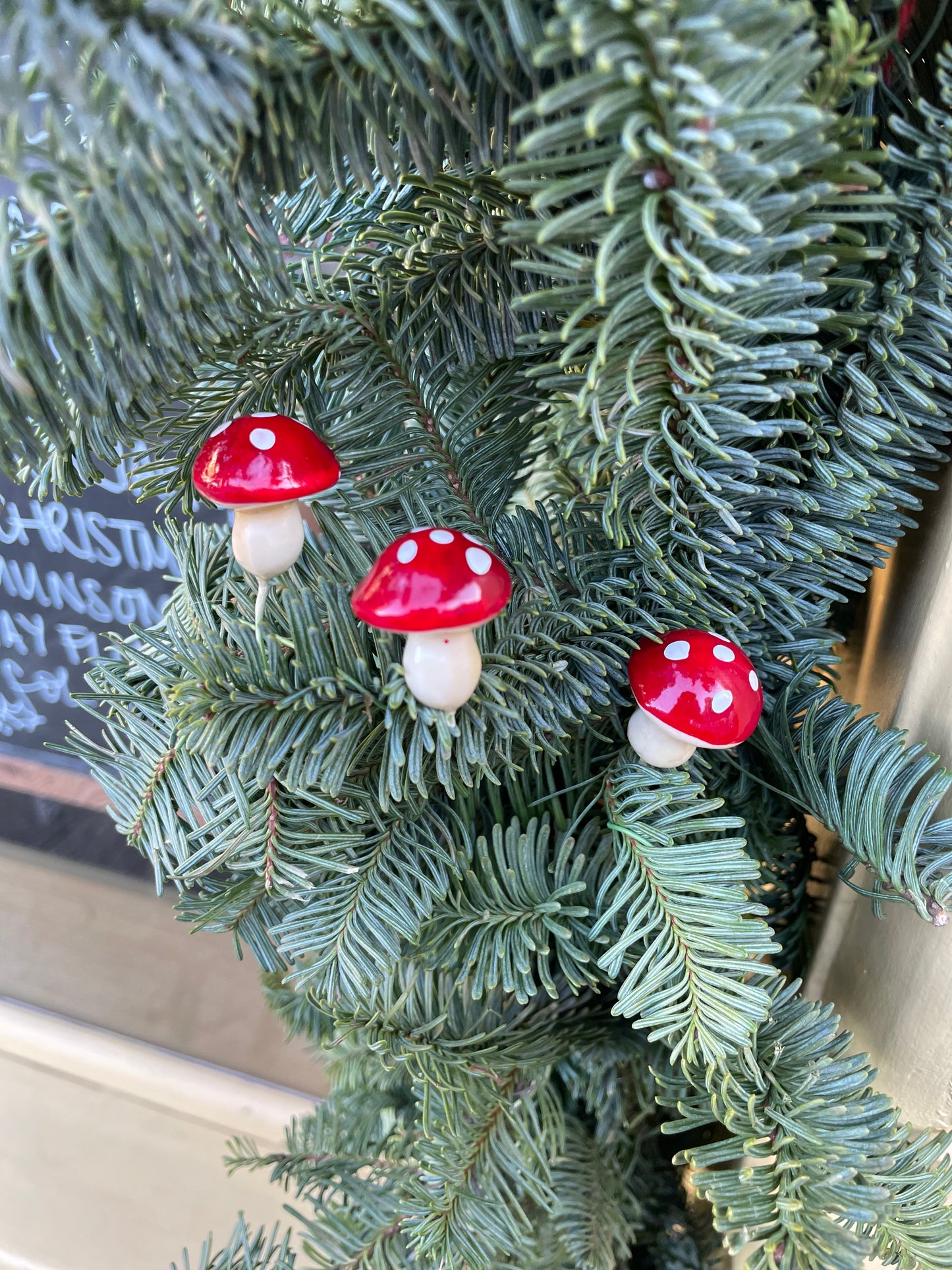 Christmas Toadstools