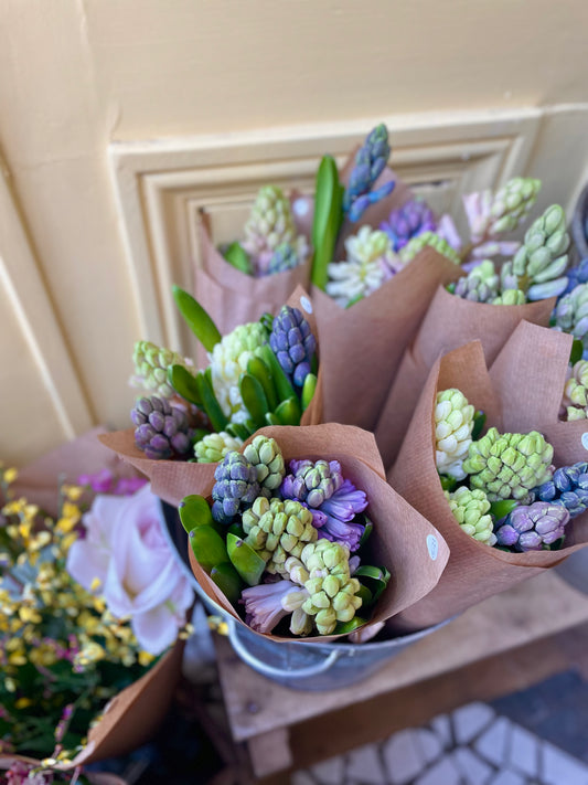 Easter Hyacinth wrap
