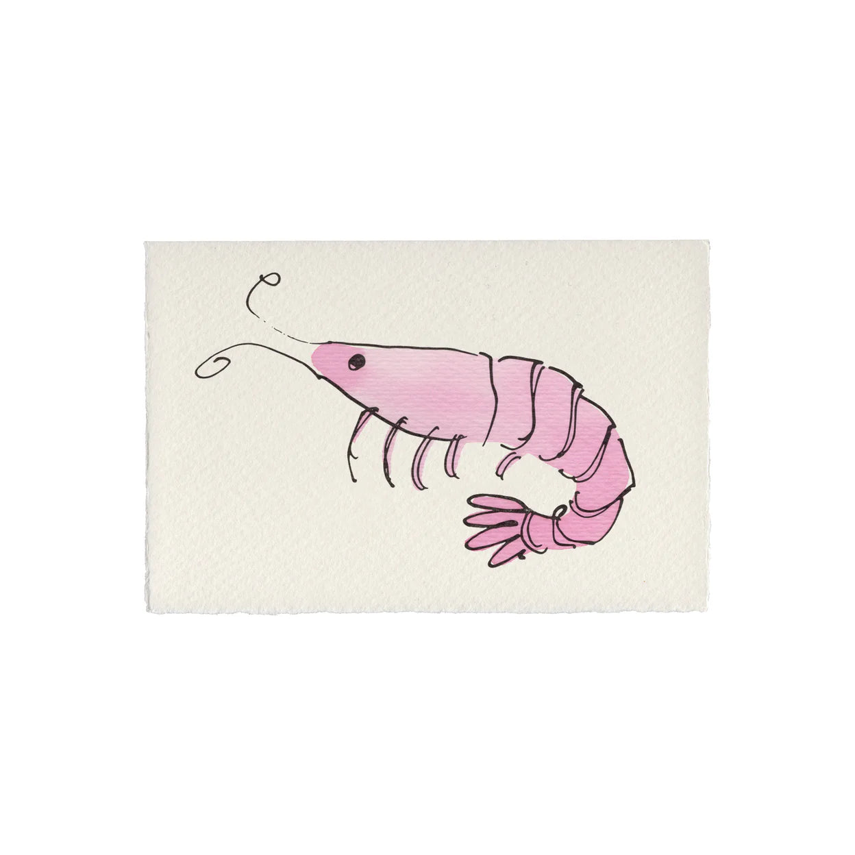 Scribble & Daub Hand Finished Cards